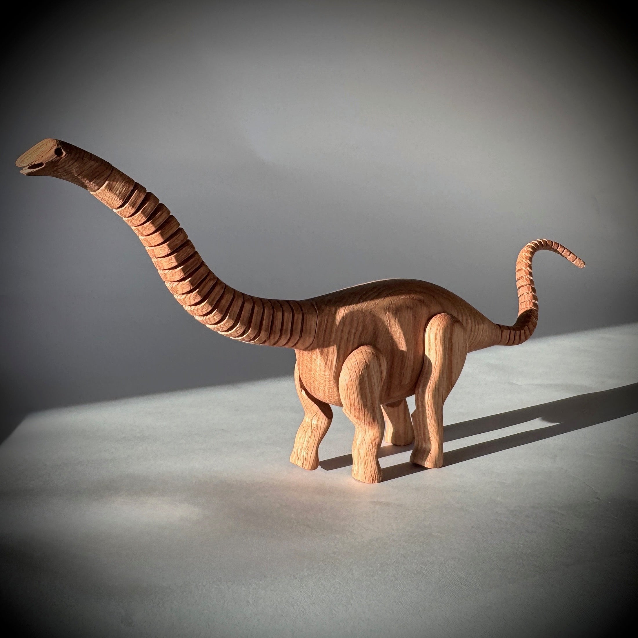 Apatosaurus - Image 4