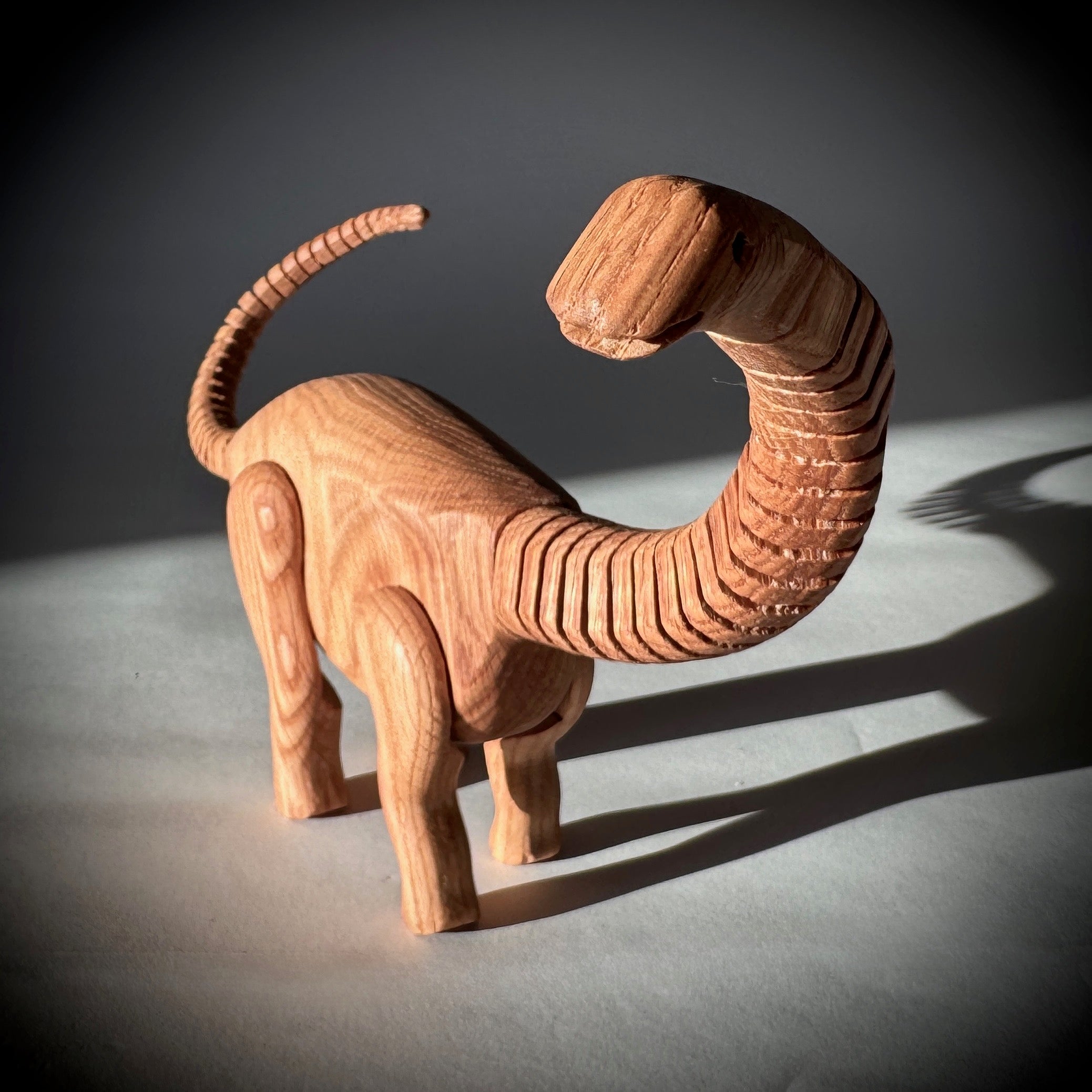 Apatosaurus - Image 5