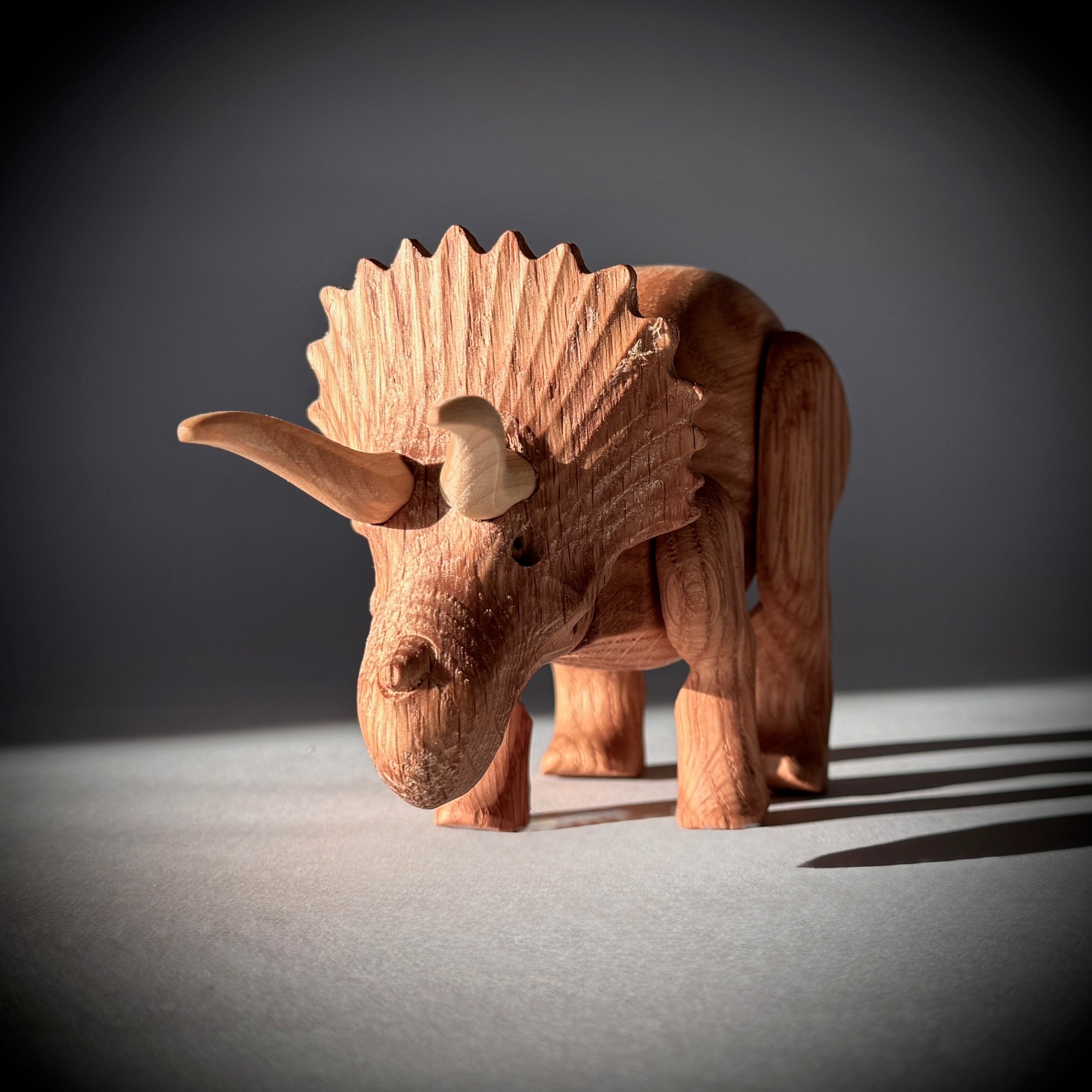 Triceratops - Image 4
