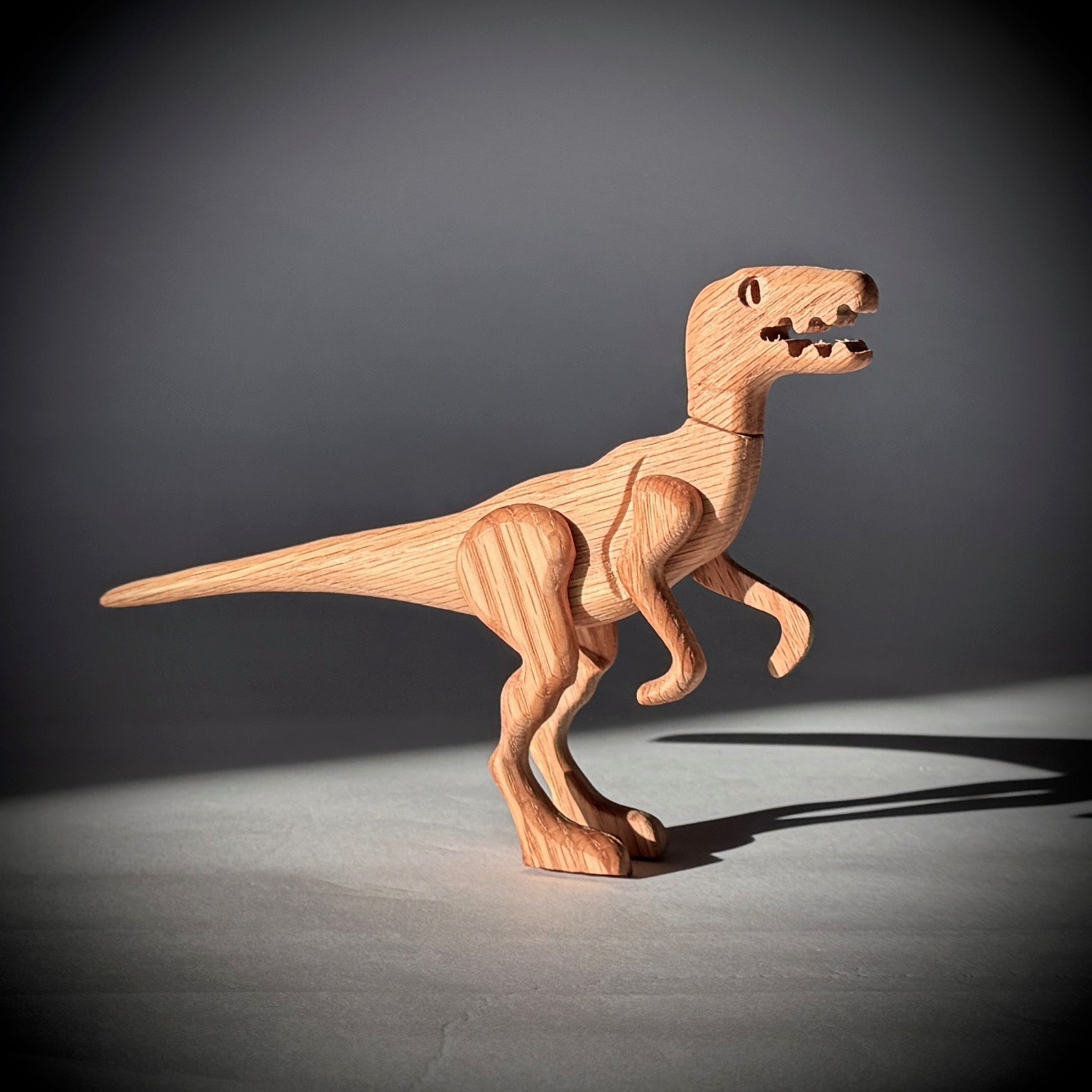 Velociraptor - Image 4