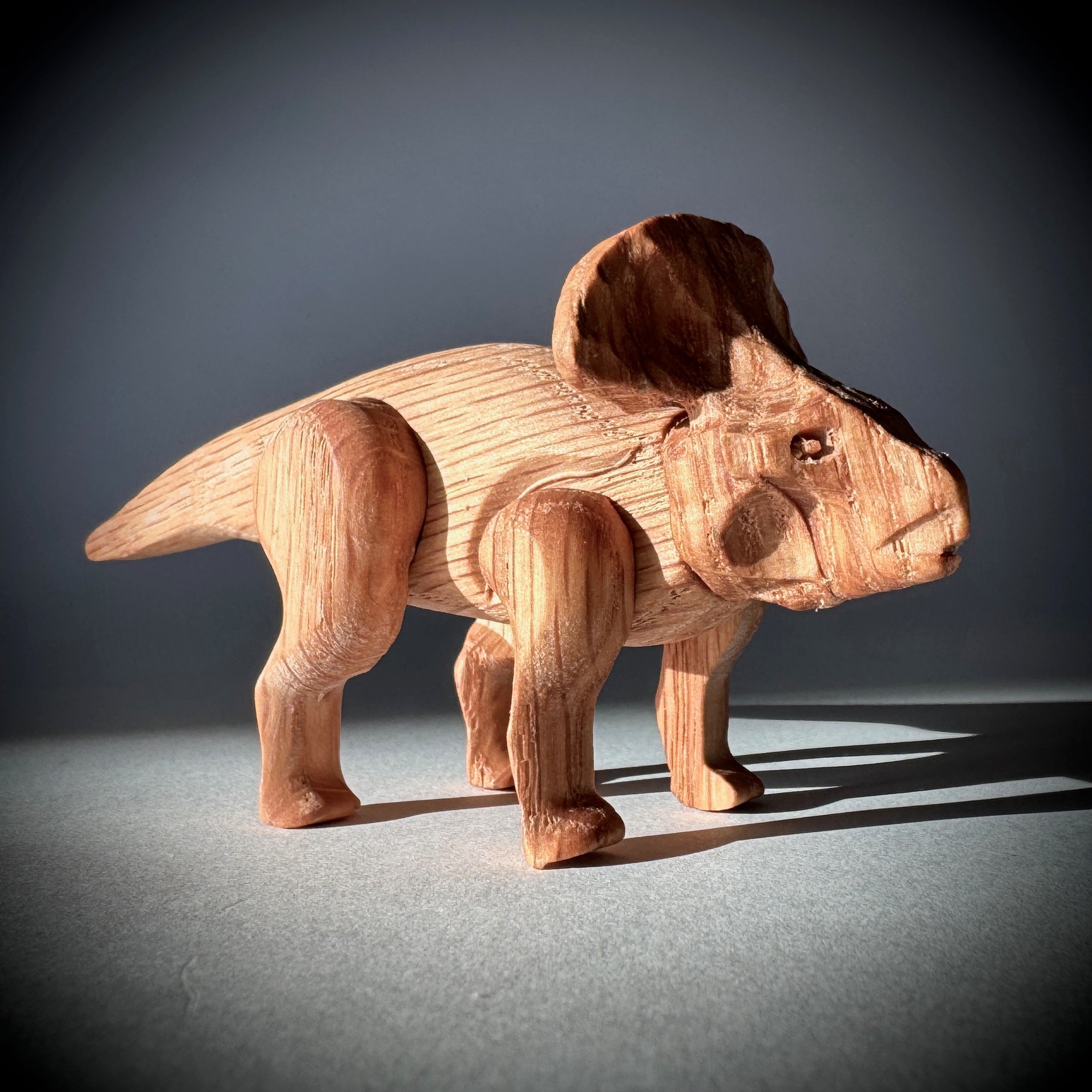 Protoceratops - Image 4