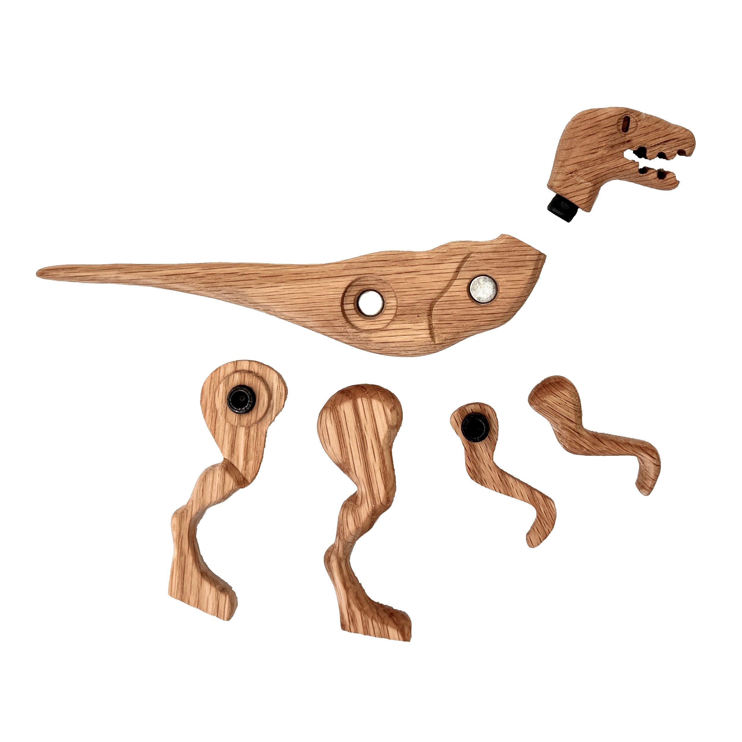 Velociraptor - Image 3